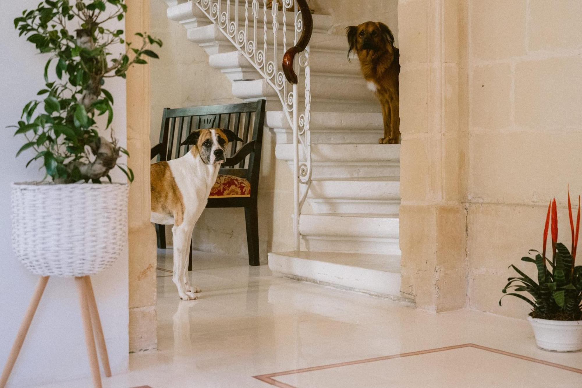 Tinja Bnb สลีมา ภายนอก รูปภาพ